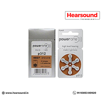 Powerone Batteries-312